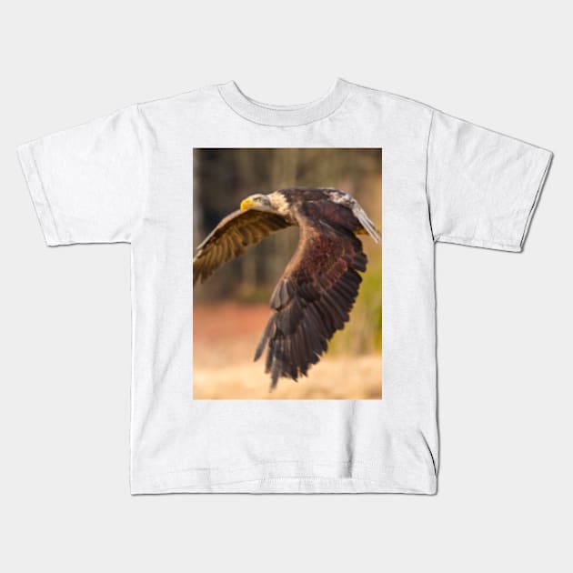 Bald Eagle in Flight Kids T-Shirt by Femaleform